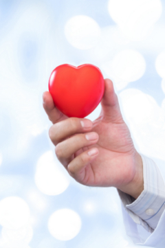 doctor holding rubber heart 